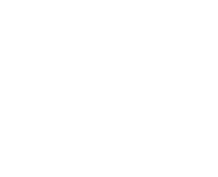 Franceschi Chocolate, established 1830